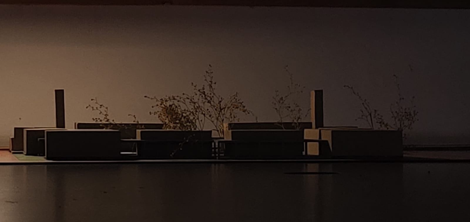 Gallery5
